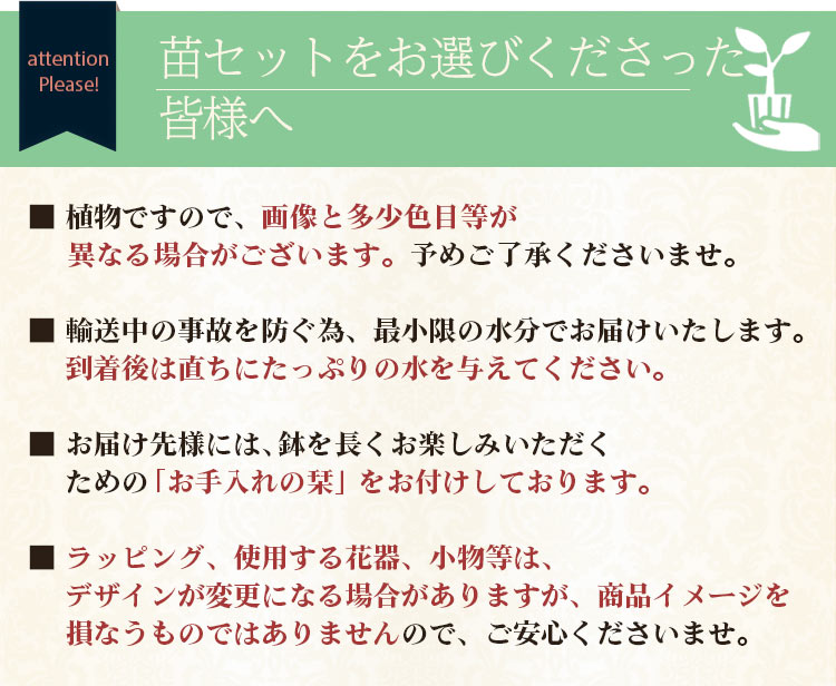 父の日 プレゼント ギフト おつまみ セット 育てて楽しむ 植物 苗 鉢植え 野菜 薬味 花 茶そば 讃岐うどん メッセージカード付き 送料無料 イベントギフトD 2024｜bunbunbee｜15