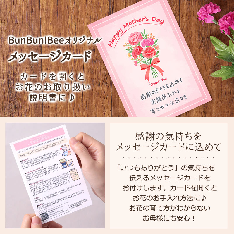 母の日 2026 ギフト プレゼント 花 いつ カーネーション 13種類 ＆ 人気銘店スイーツ セット 母の日2026 キハチ 文明堂 鉢植え 5号鉢 花鉢 イベントギフトF |  | 27
