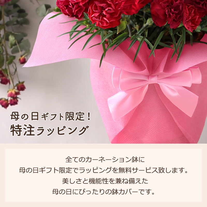 母の日 2026 ギフト プレゼント 花 いつ カーネーション 13種類 ＆ 人気銘店スイーツ セット 母の日2026 キハチ 文明堂 鉢植え 5号鉢 花鉢 イベントギフトF |  | 28