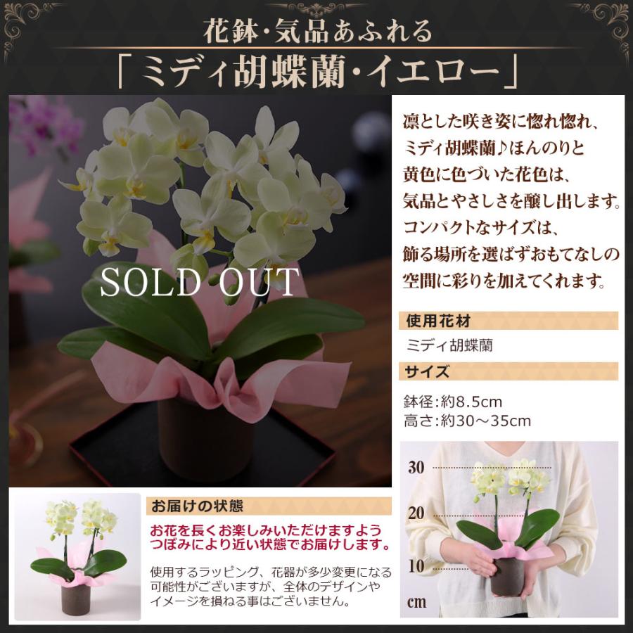 早割 送料無料 敬老の日 ギフト 花 プレゼント 花鉢 鉢植え 盆栽 フラワー イベントギフトd 21 Event 006 Bunbun Bee 通販 Yahoo ショッピング 早割 送料無料 敬老の日 ギフト 花 プレゼント 花鉢 鉢植え 盆栽 フラワー イベントギフトd 21 Event 006 Bunbun Bee 通販 Yahoo ショッピング