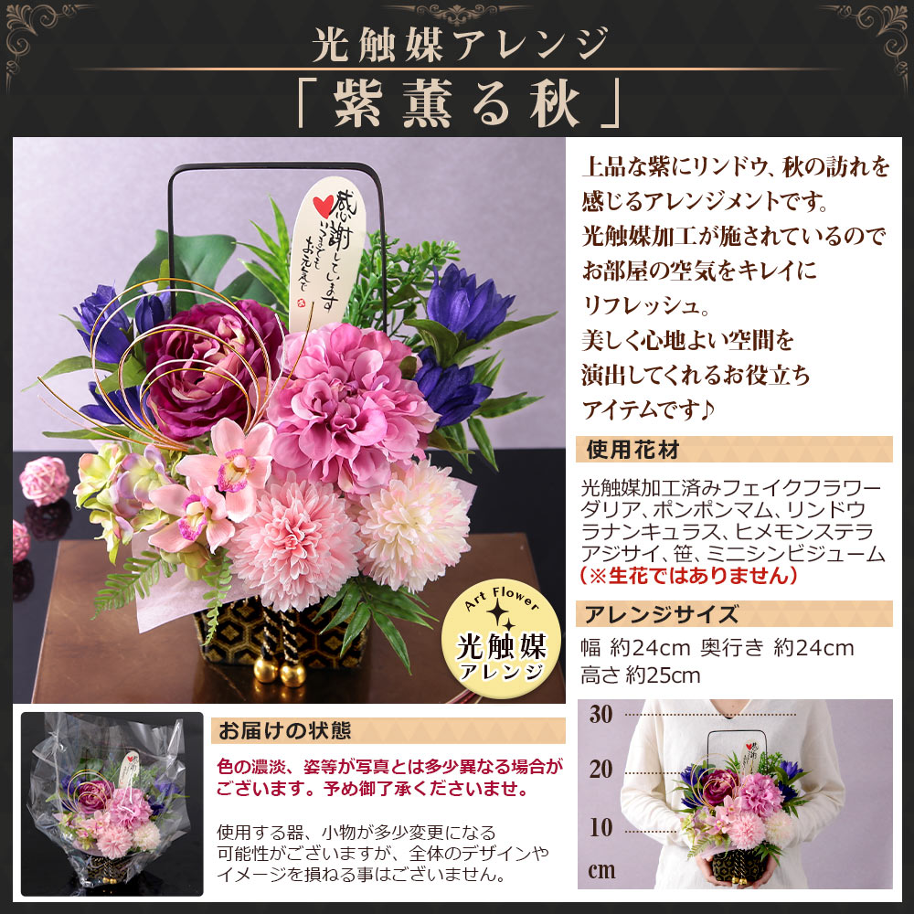早割実施中! 敬老の日 2026 プレゼント ...の詳細画像2