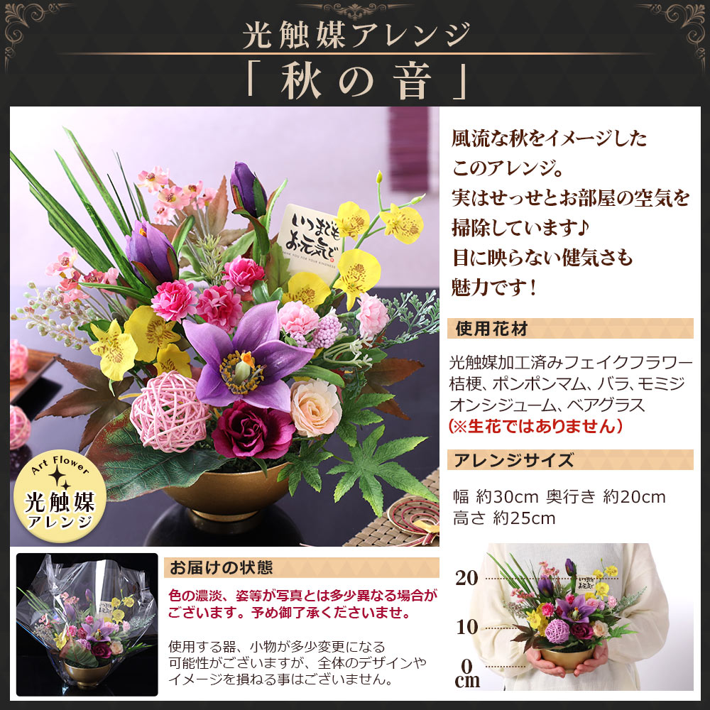 早割実施中! 敬老の日 2026 プレゼント ...の詳細画像4