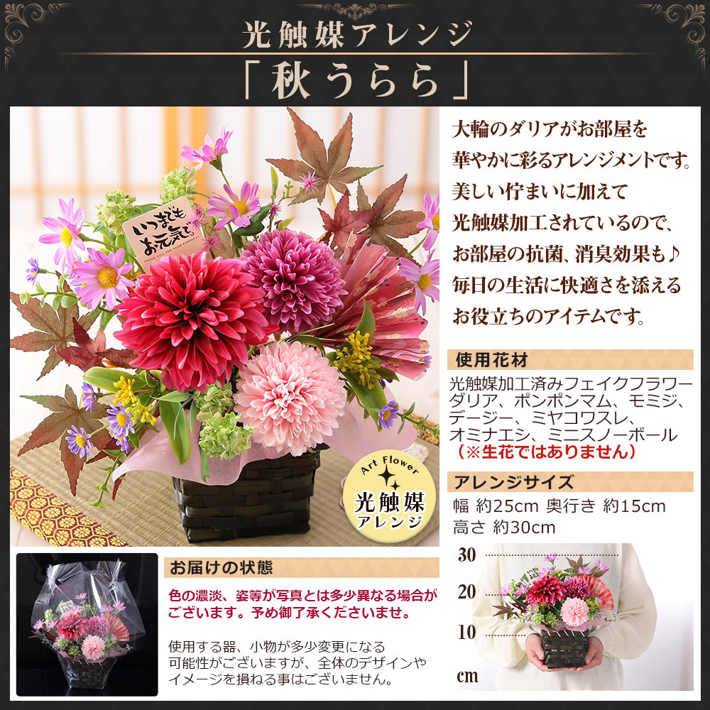早割実施中! 敬老の日 2026 プレゼント ...の詳細画像5