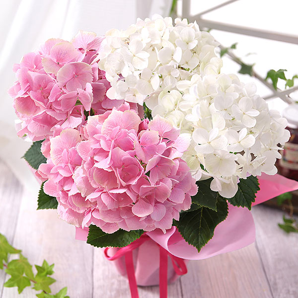 ギフト　お祝い　現品　あみぐるみ　ピンク　花　鉢植え　ブリキ　ぬいぐるみ　鉢 誕生日 花 プレゼント 2024 花鉢 ギフト 3種でつくるおまかせ