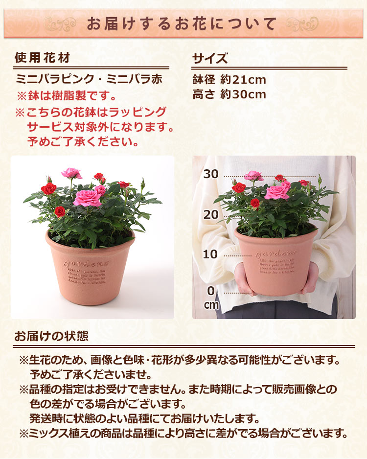 BunBunBee 母の日 2026 ギフト プレゼント 花 バラ 鉢植え タワー 6号