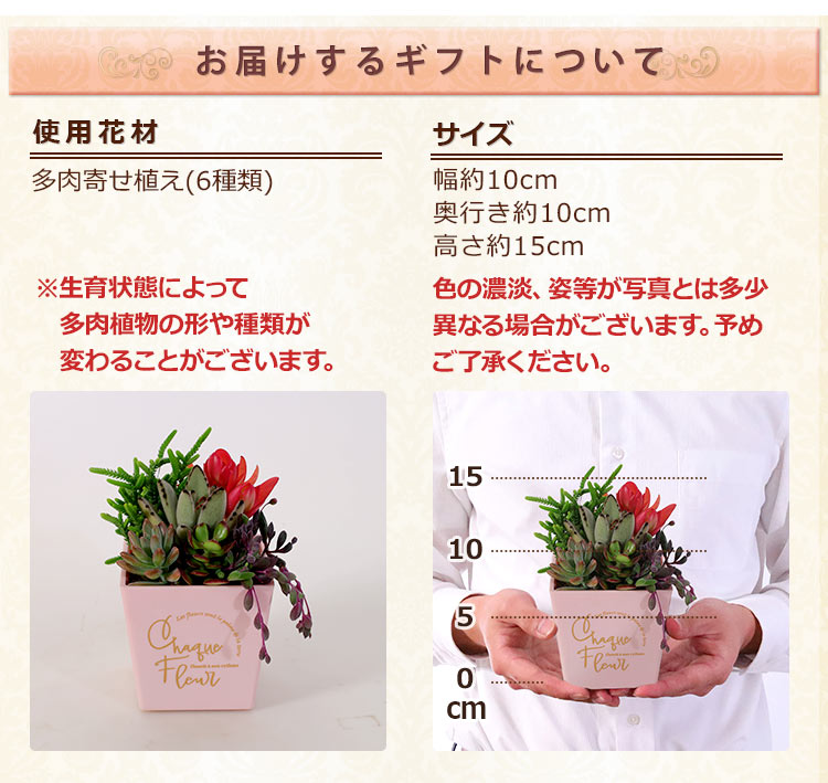 BunBunBee 母の日 2026 ギフト プレゼント 花 多肉植物 寄せ植え 観葉