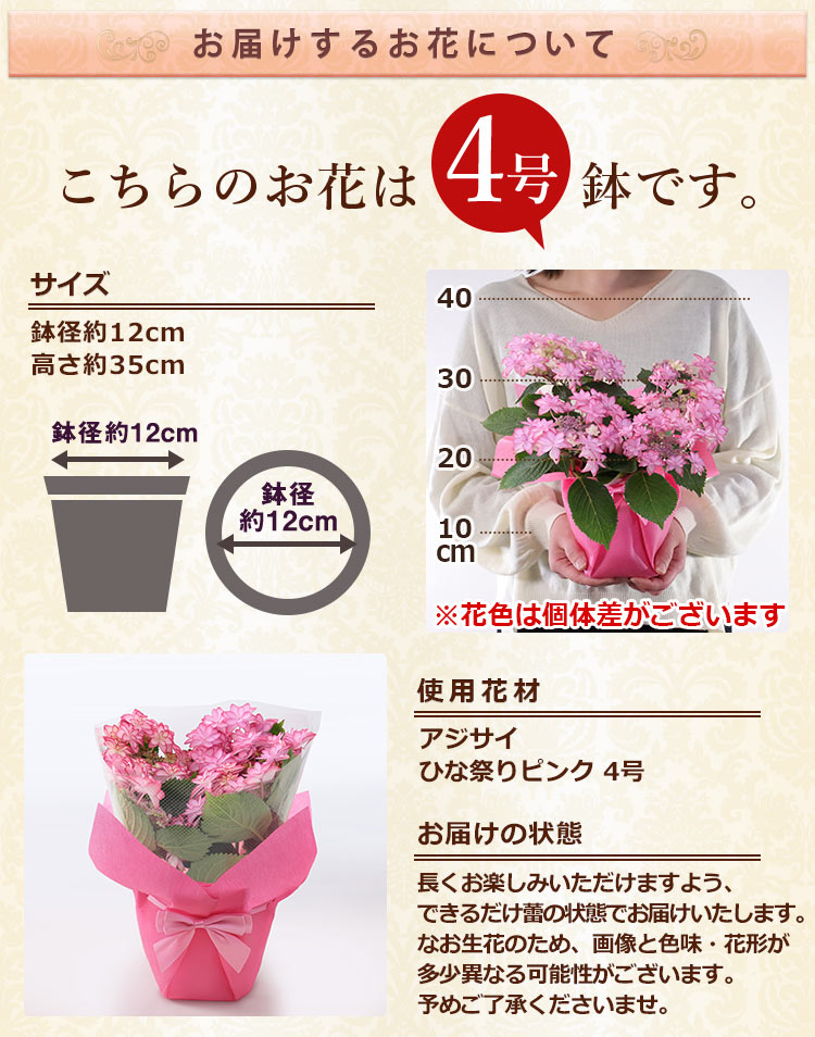 BunBunBee 母の日 2026 ギフト プレゼント 花 鉢植え カルミア