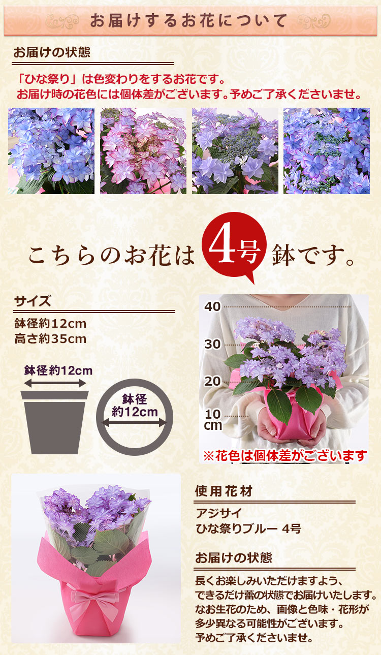 BunBunBee 母の日 2026 ギフト プレゼント 花 鉢植え カルミア