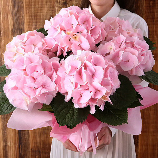 BunBunBee 母の日 2025 ギフト あじさい 花 プレゼント 鉢植え