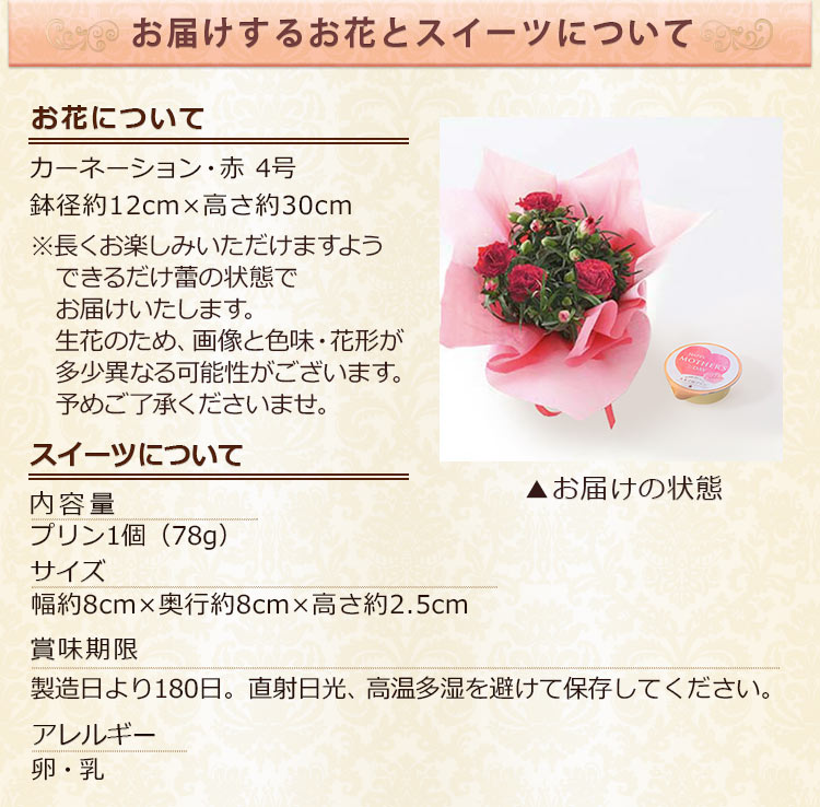 母の日 2025 カーネーション鉢4号＆スイーツセット「感謝のレッド＆たまご村プリン」 鉢植え 送料無料 イベントギフト ポイント利用 | BunBunBee | 02