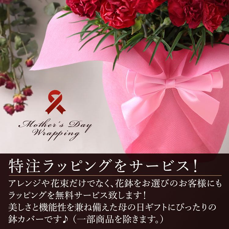 母の日 23 花 ギフト プレゼント 鉢植え セロシア鉢 キャンドルケーキ 花鉢 フラワーケーキ セロシア ケイトウ イベントギフト Tt Mo 0002yh Bunbun Bee 通販 Yahoo ショッピング 母の日 23 花 ギフト プレゼント 鉢植え セロシア鉢 キャンドルケーキ 花鉢 フラワーケーキ セロシア ケイトウ イベントギフト Tt Mo 0002yh Bunbun Bee 通販 Yahoo ショッピング