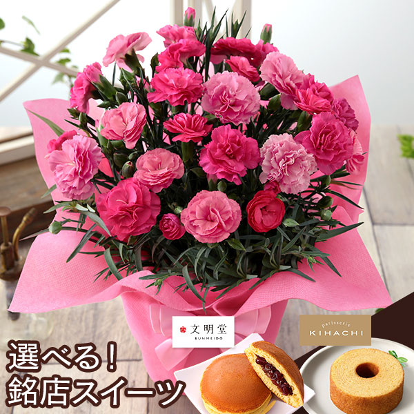 母の日 2026 ギフト プレゼント 花 いつ カーネーション 13種類 ＆ 人気銘店スイーツ セット 母の日2026 キハチ 文明堂 鉢植え 5号鉢 花鉢 イベントギフトF |  | 01