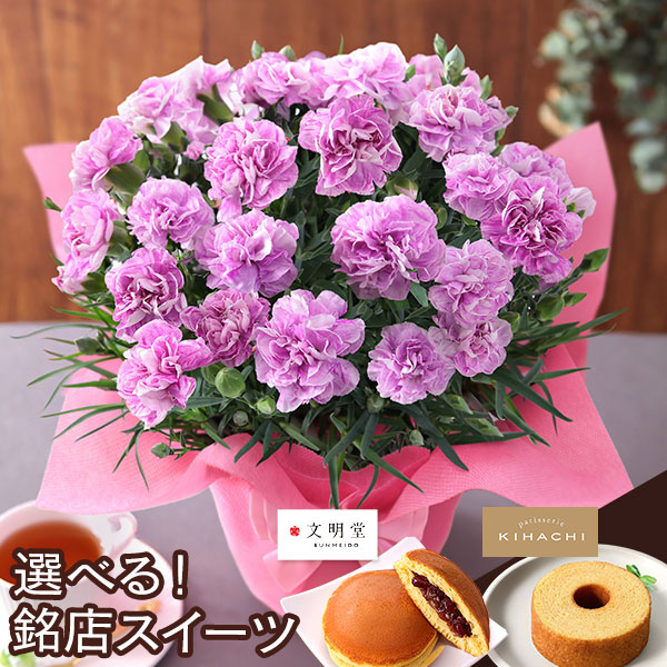 母の日 2026 ギフト プレゼント 花 いつ カーネーション 13種類 ＆ 人気銘店スイーツ セット 母の日2026 キハチ 文明堂 鉢植え 5号鉢 花鉢 イベントギフトF |  | 02