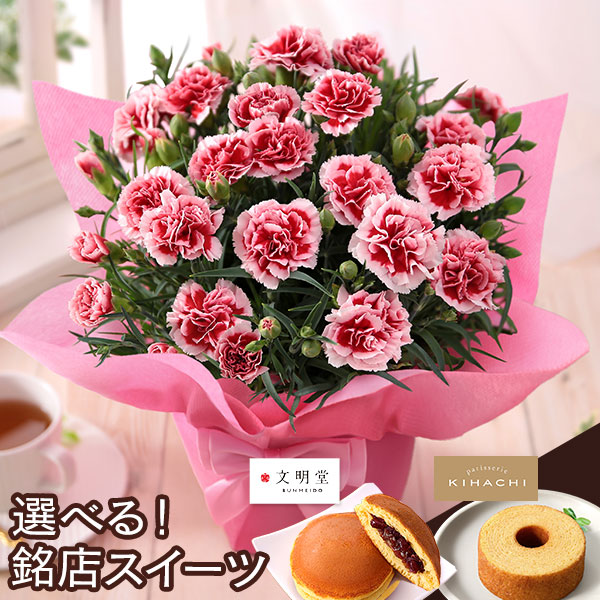 母の日 2026 ギフト プレゼント 花 いつ カーネーション 13種類 ＆ 人気銘店スイーツ セット 母の日2026 キハチ 文明堂 鉢植え 5号鉢 花鉢 イベントギフトF |  | 03