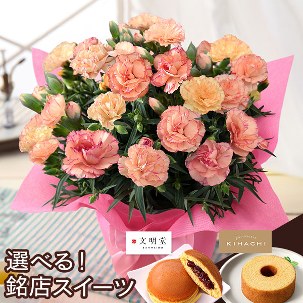 母の日 2026 ギフト プレゼント 花 いつ カーネーション 13種類 ＆ 人気銘店スイーツ セット 母の日2026 キハチ 文明堂 鉢植え 5号鉢 花鉢 イベントギフトF |  | 04