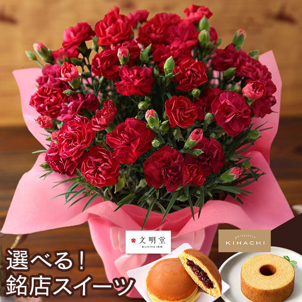 母の日 2026 ギフト プレゼント 花 いつ カーネーション 13種類 ＆ 人気銘店スイーツ セット 母の日2026 キハチ 文明堂 鉢植え 5号鉢 花鉢 イベントギフトF |  | 05