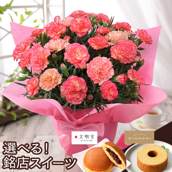 母の日 2026 ギフト プレゼント 花 いつ カーネーション 13種類 ＆ 人気銘店スイーツ セット 母の日2026 キハチ 文明堂 鉢植え 5号鉢 花鉢 イベントギフトF |  | 06