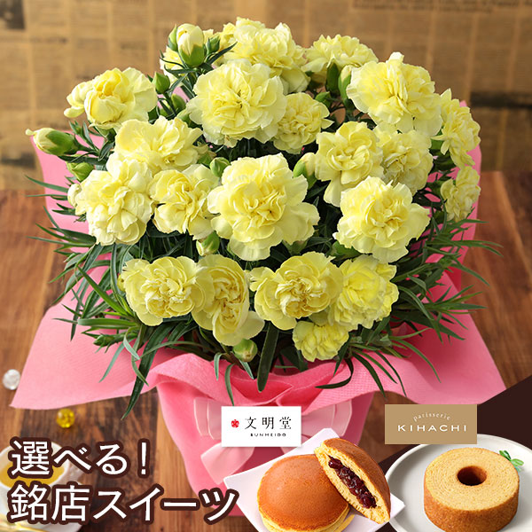母の日 2026 ギフト プレゼント 花 いつ カーネーション 13種類 ＆ 人気銘店スイーツ セット 母の日2026 キハチ 文明堂 鉢植え 5号鉢 花鉢 イベントギフトF |  | 07
