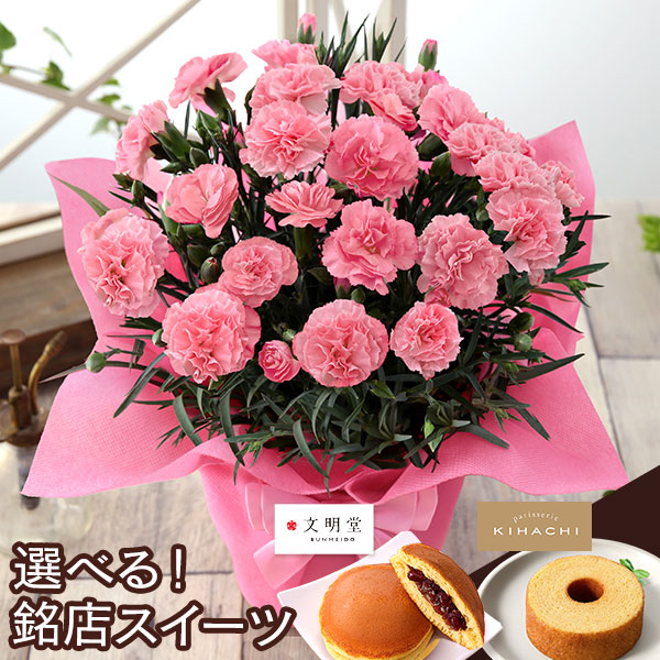 母の日 2026 ギフト プレゼント 花 いつ カーネーション 13種類 ＆ 人気銘店スイーツ セット 母の日2026 キハチ 文明堂 鉢植え 5号鉢 花鉢 イベントギフトF |  | 09