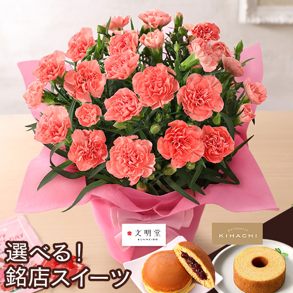 母の日 2026 ギフト プレゼント 花 いつ カーネーション 13種類 ＆ 人気銘店スイーツ セット 母の日2026 キハチ 文明堂 鉢植え 5号鉢 花鉢 イベントギフトF |  | 10