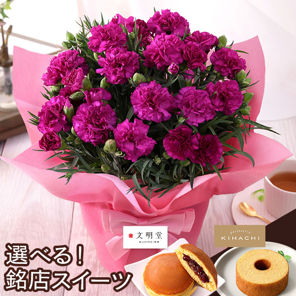 母の日 2026 ギフト プレゼント 花 いつ カーネーション 13種類 ＆ 人気銘店スイーツ セット 母の日2026 キハチ 文明堂 鉢植え 5号鉢 花鉢 イベントギフトF |  | 11