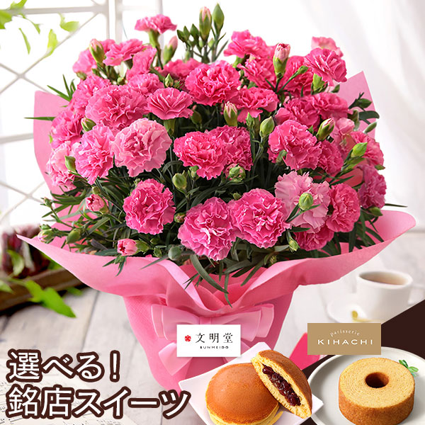 母の日 2026 ギフト プレゼント 花 いつ カーネーション 13種類 ＆ 人気銘店スイーツ セット 母の日2026 キハチ 文明堂 鉢植え 5号鉢 花鉢 イベントギフトF |  | 12