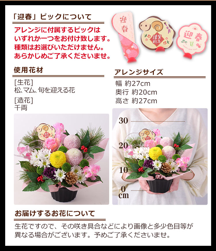 BunBunBee 正月飾り 2027 迎春 花 お正月 アレンジメント 胡蝶蘭