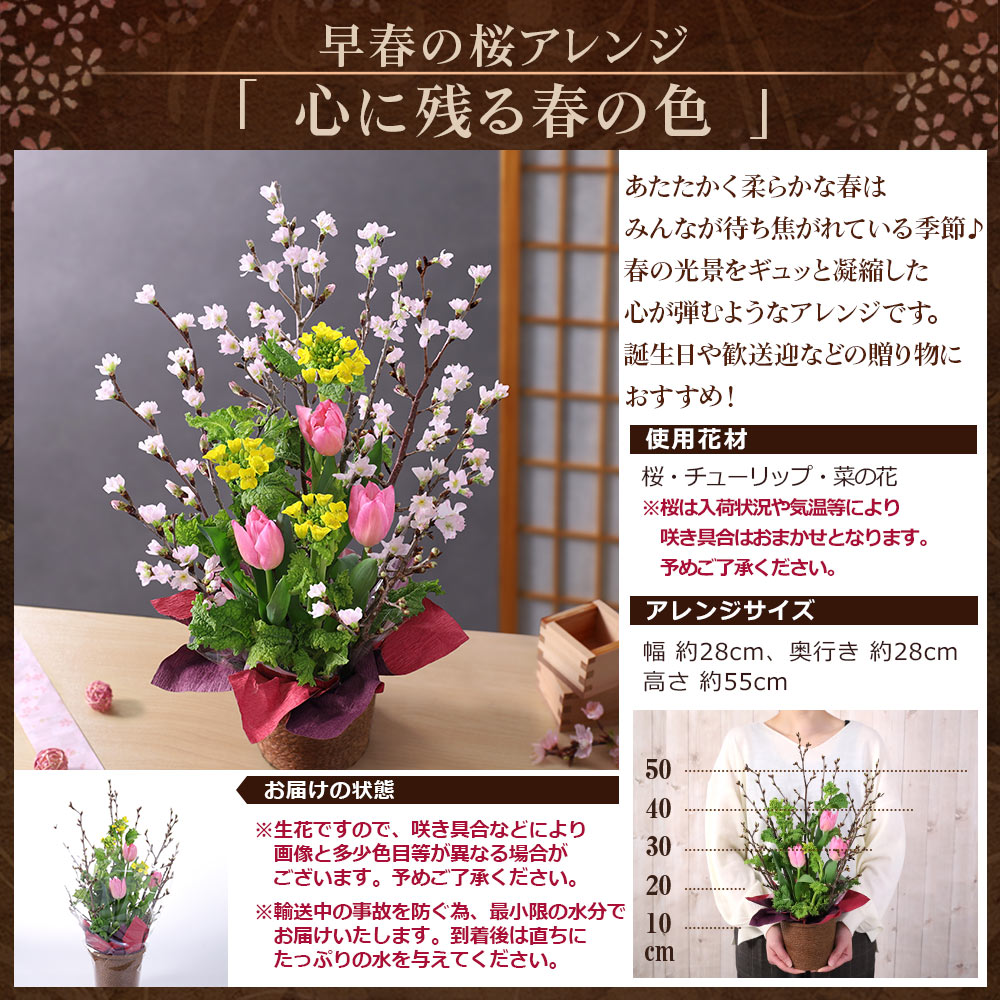 あすつく 14時まで 早春のおまかせ桜アレンジ Mサイズ 花 桜 誕生日 プレゼント ギフト 送料無料 生花 お花 女性 お祝い 春の花