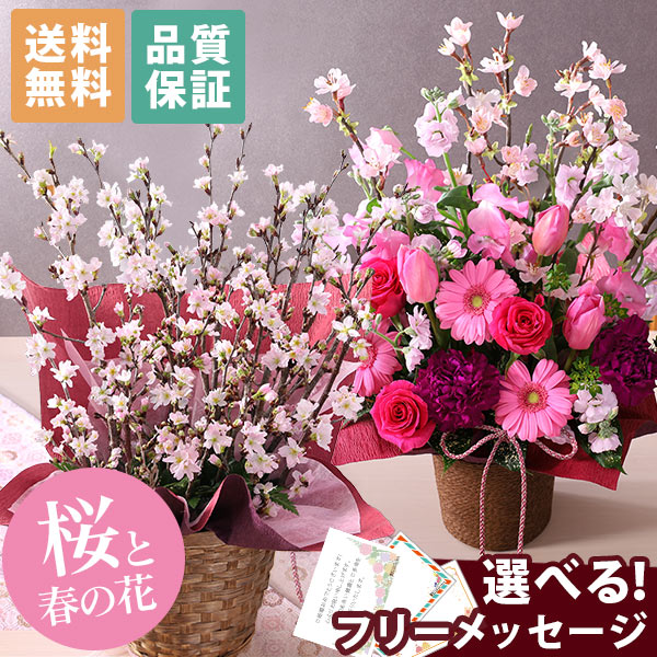 最短翌日届け 14時まで 花 桜 誕生日 プレゼント フラワーアレンジメント 早春のおまかせ桜アレンジ Mサイズ ギフト 生花 お花 お祝い 送料無料 ポイント利用