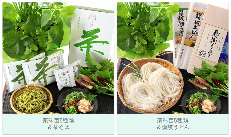 父の日 プレゼント ギフト おつまみ セット 育てて楽しむ 植物 苗 鉢植え 野菜 薬味 花 茶そば 讃岐うどん メッセージカード付き 送料無料 イベントギフトD 2024｜bunbunbee｜04