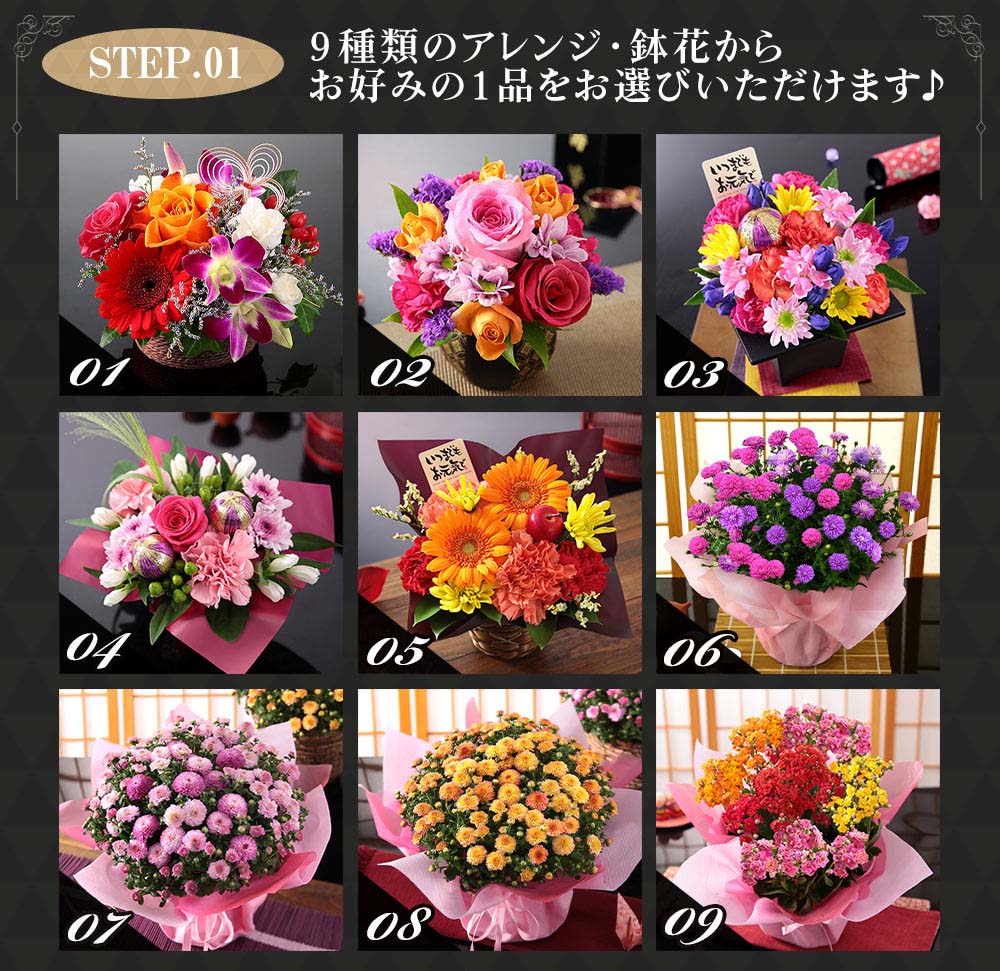 早割実施中 敬老の日 プレゼント ギフト 花 スイーツ 送料無料 和菓子 セット フラワー アレンジ 花鉢 鉢植え 孔雀草 文明堂 虎屋本舗 イベントギフトb 22 Event 001 Bunbun Bee 通販 Yahoo ショッピング 早割実施中 敬老の日 プレゼント ギフト 花 スイーツ 送料無料 和菓子 セット フラワー アレンジ 花鉢 鉢植え 孔雀草 文明堂 虎屋本舗 イベントギフトb 22 Event 001 Bunbun Bee 通販 Yahoo ショッピング