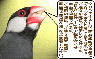 リピーター様⭐︎むつ文鳥 リピーター様⭐︎むつ文鳥 桜文鳥｜WooBia公式オンライン