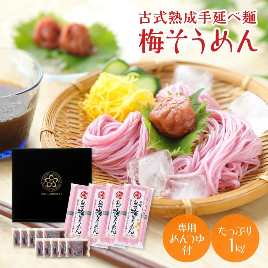 梅そうめん10食セット