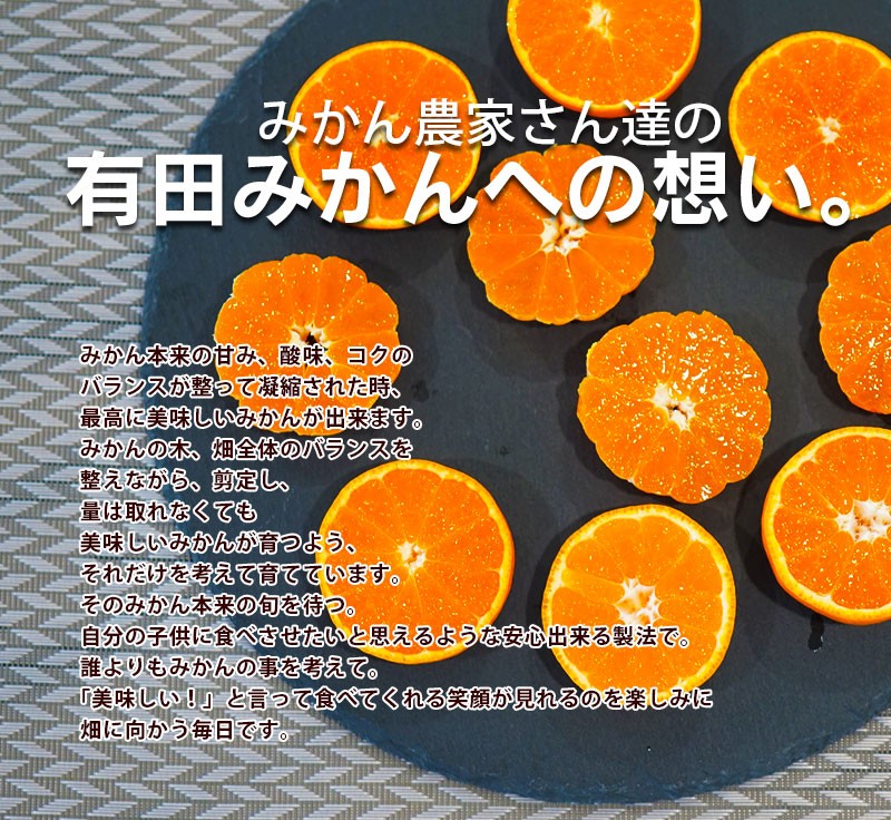 2022年ご予約開始 御歳暮 ギフト みかん お歳暮 ギフト 有田みかん 50