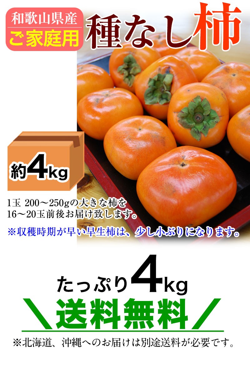 和歌山のたねなし柿 約4kg 送料無料 ※一部地域除く (fy4) :kaki4:紀州ふみこ農園 - 通販 - Yahoo!ショッピング