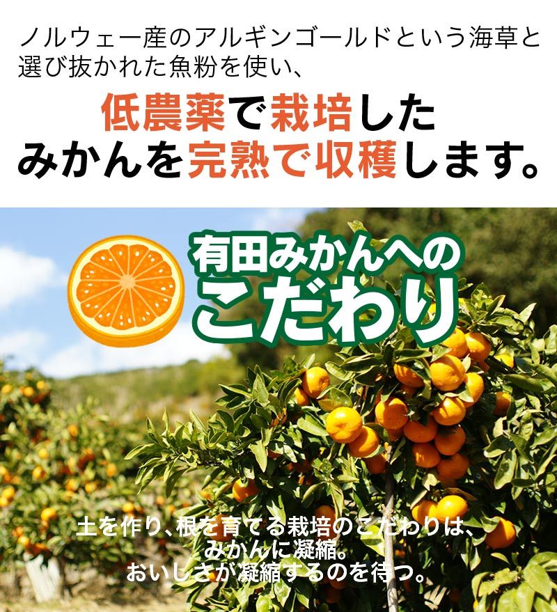 2025年 ご予約開始 内祝 ギフト 低農薬、自然のマルチ栽培で作る