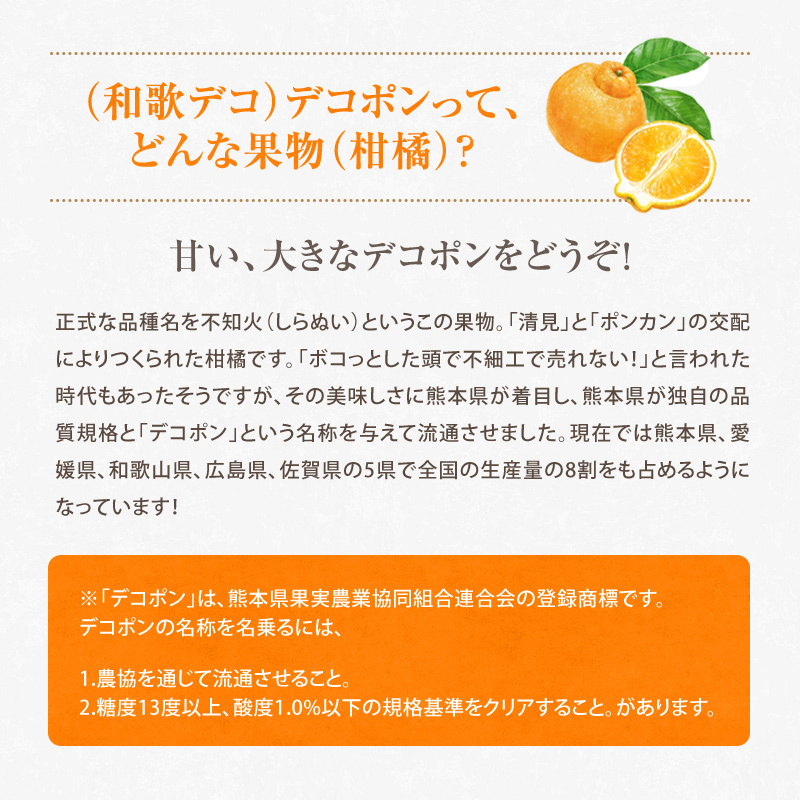 ご予約開始 ご家庭用 不知火（デコポン）露地栽培の樹上完熟