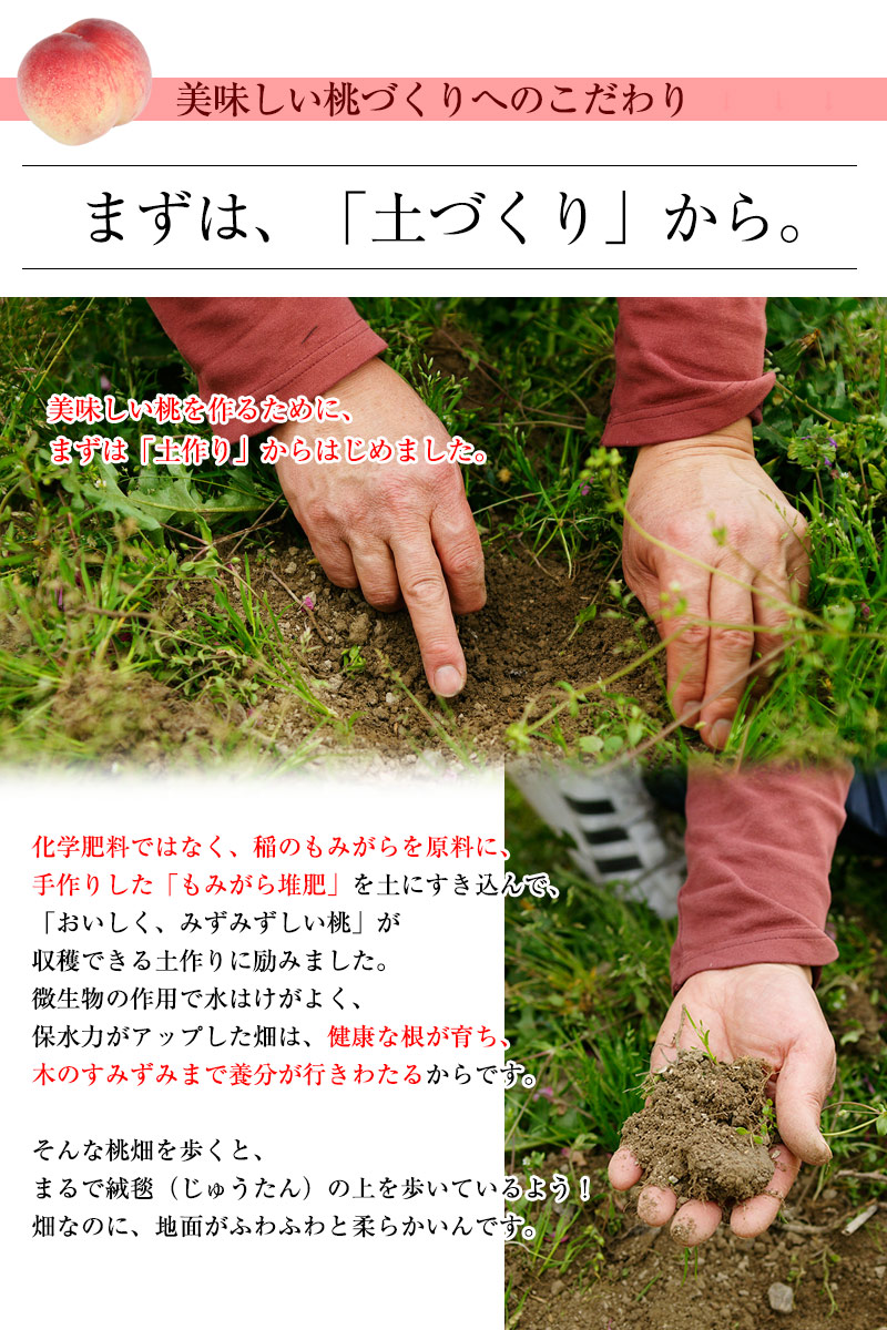 まずは、土づくりから。
