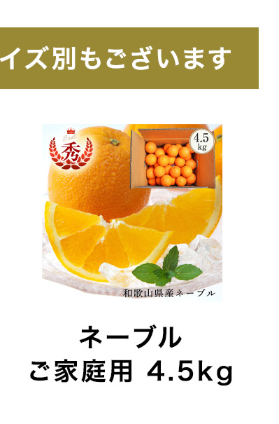 ご予約開始 和歌山県産ネーブル オレンジ ご家庭用 約3kg （約14玉