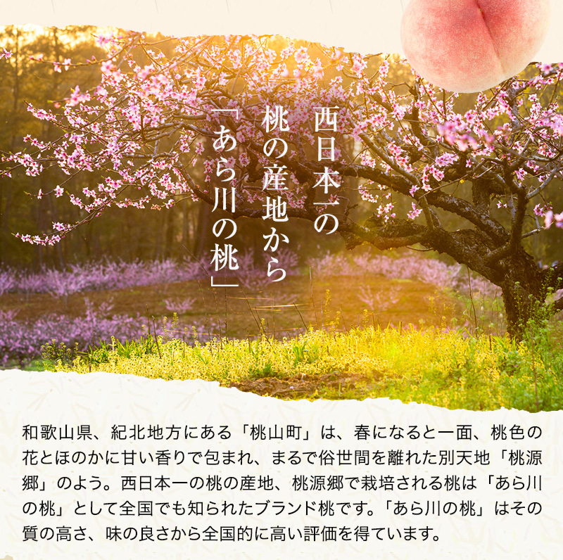 あら川の桃 桃の最高級ブランド！和歌山県産