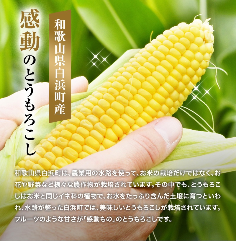 Amazon.co.jp: 乾燥野菜 乾燥 とうもろこし 【粒カット品