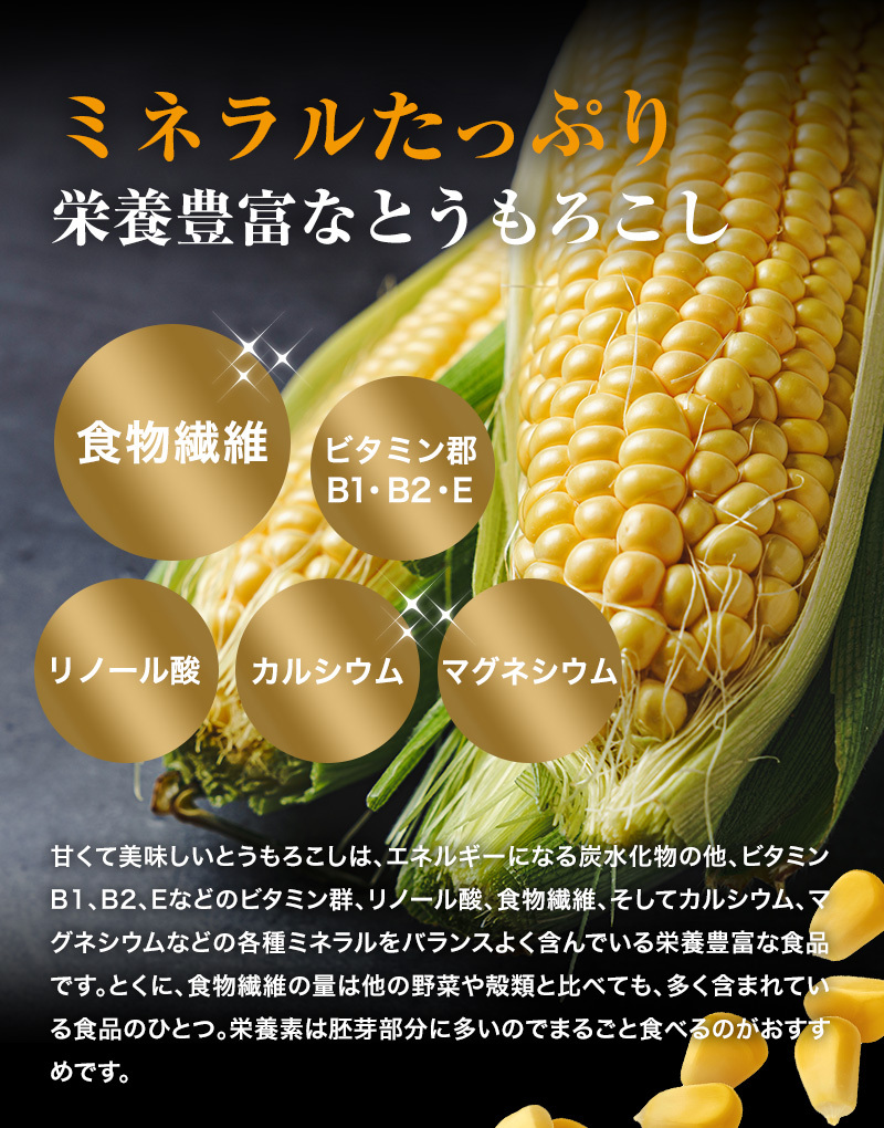 ここのごはん ドライフード 2袋 賞味期限2025 訳あり】【賞味期限3個セット:2025/9/8 4個セット:2025/9/3