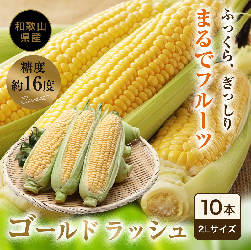 安いそれに目立つ とうもろこし 千葉県産 ゴールドラッシュ 約2.5kg 2Lサイズ 6〜7本