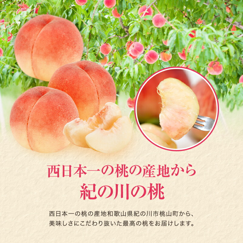 紀の川の桃