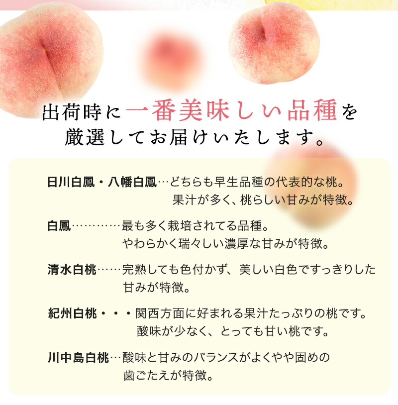 紀の川の桃