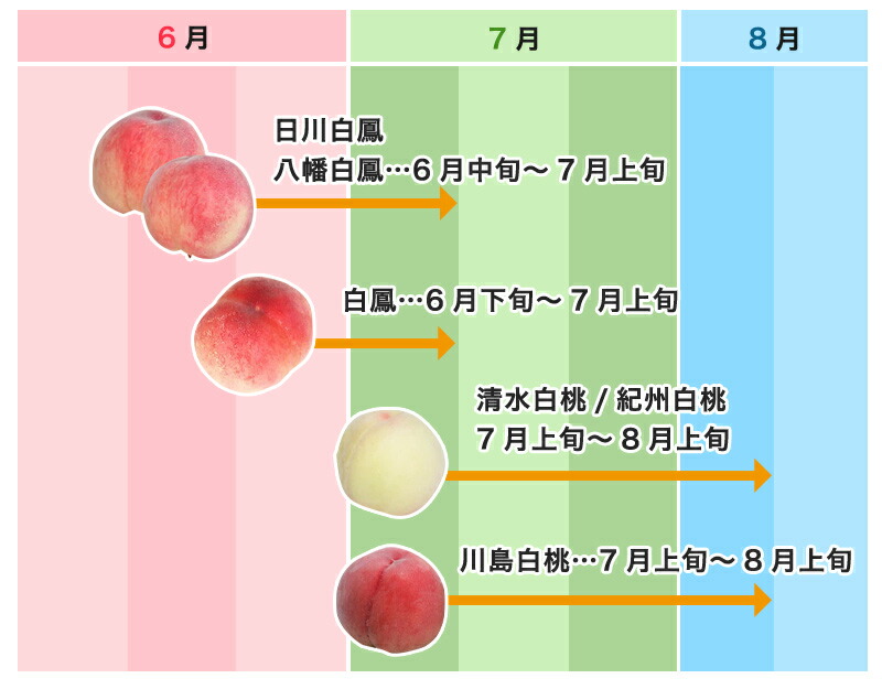 紀の川の桃