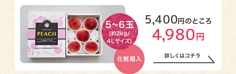 紀の川の桃