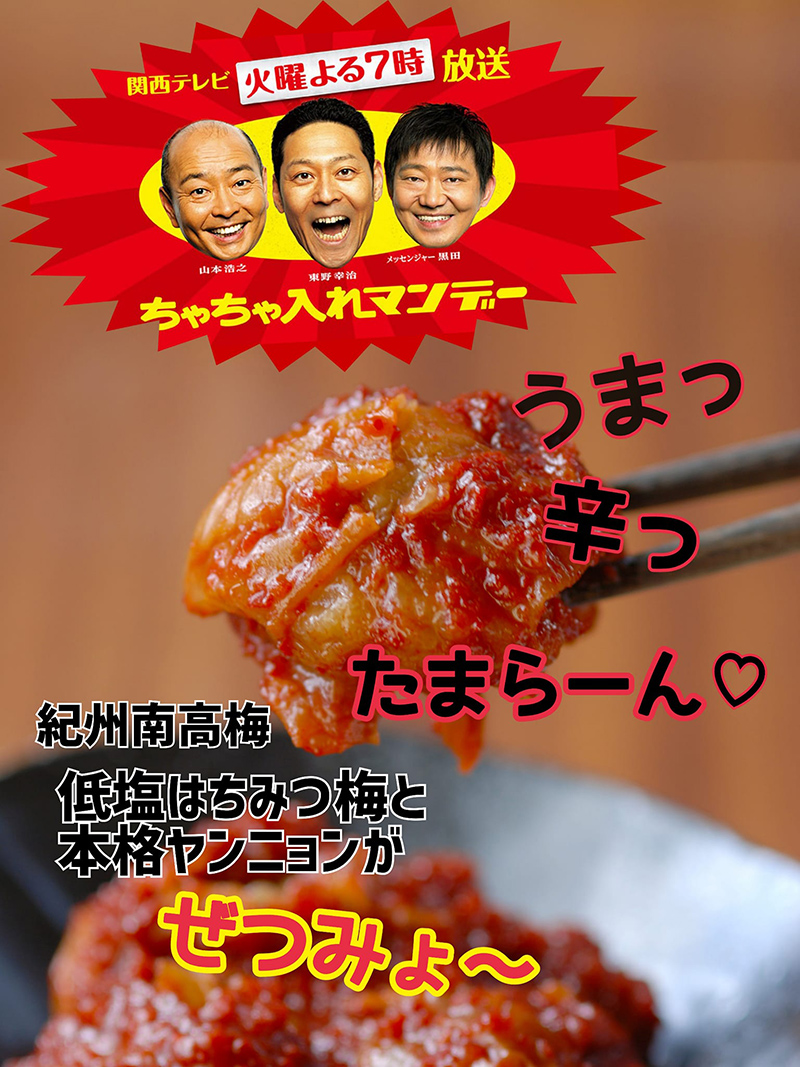 紀州南高 梅キムチ　ふみこ農園 李朝園