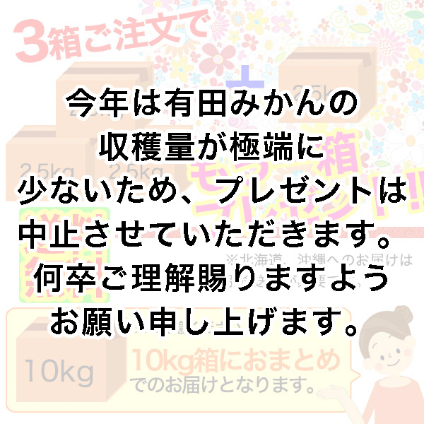 2025年 ご予約開始 有田みかん(ちびみかん...の詳細画像3