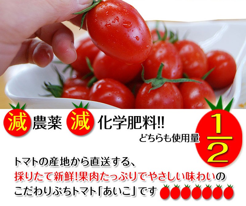 てなグッズやてなグッズや2023年ご予約開始ミニトマトあいこ（アイコ）2kg （和歌山県産）減農薬、減化学肥料で育てたこだわりハウス栽培の美味しさ！ fy5) トマト